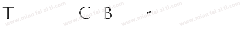 Triplett Cg Black字体转换